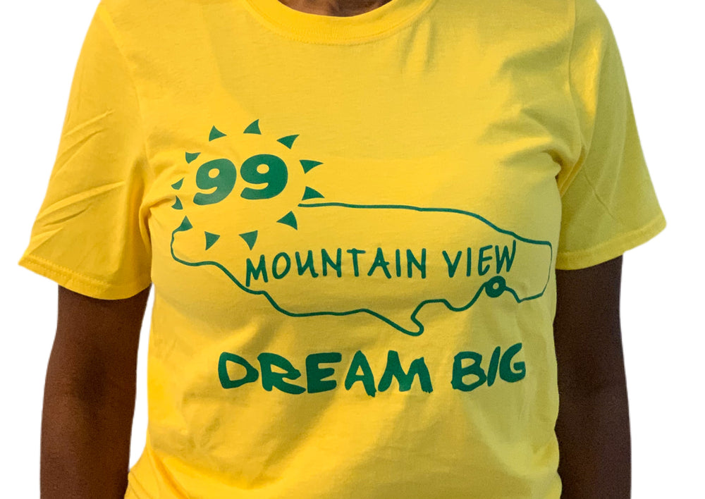 The 99 Mountain View Mindset (Dream Big)