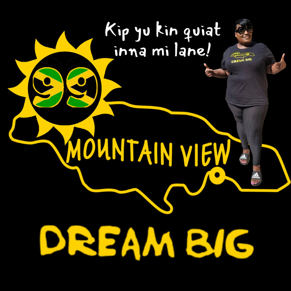 The 99 Mountain View Mindset (Dream Big)