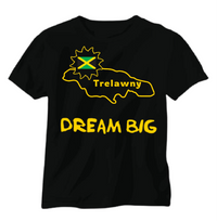 Load image into Gallery viewer, Dream Big - My Jamaica Parish Unisex T-shirt
