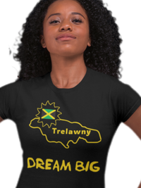 Load image into Gallery viewer, Dream Big - My Jamaica Parish Unisex T-shirt
